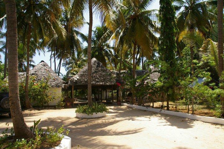 Ndame Beach Lodge Paje Exterior foto