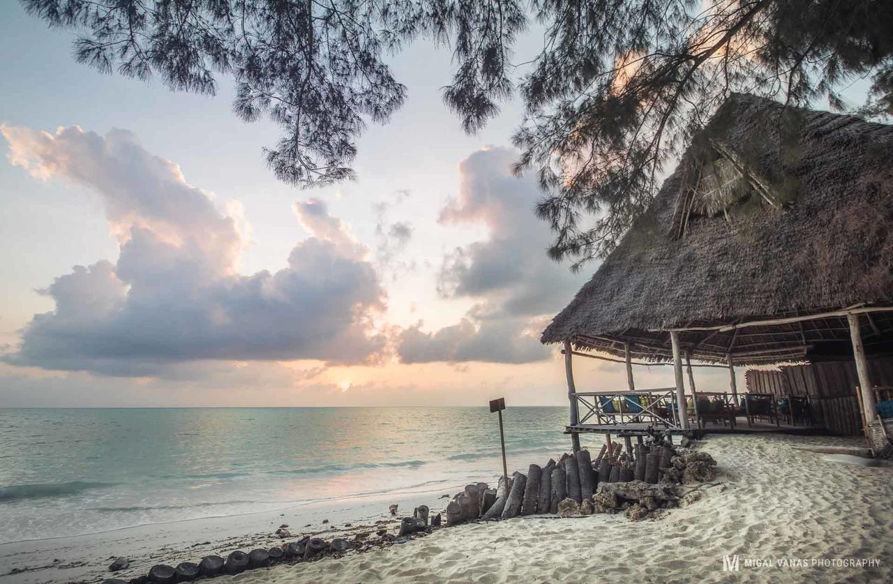 Ndame Beach Lodge Paje Exterior foto