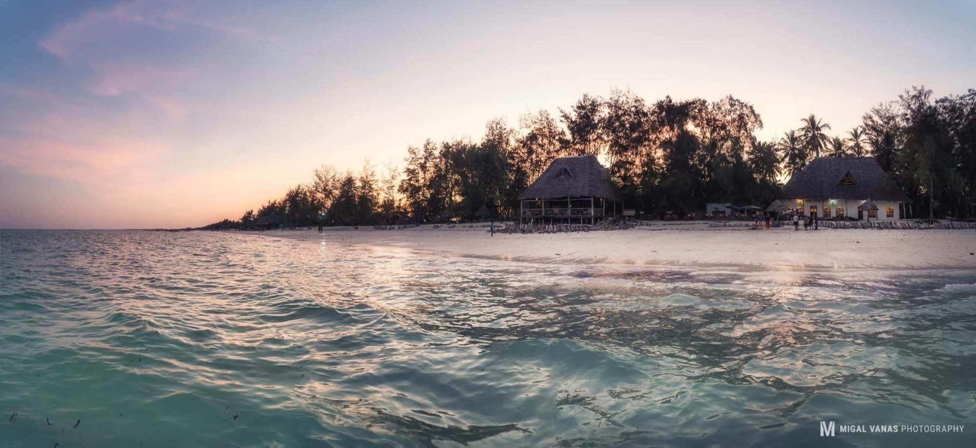 Ndame Beach Lodge Paje Exterior foto